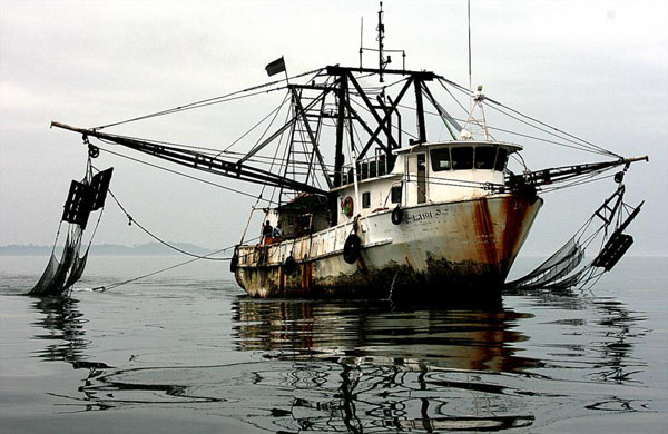 Illegal Fishing illegal fishing boat gabon trawler