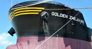 Golden Zhejiang Golden Zhejiang knightsbridge